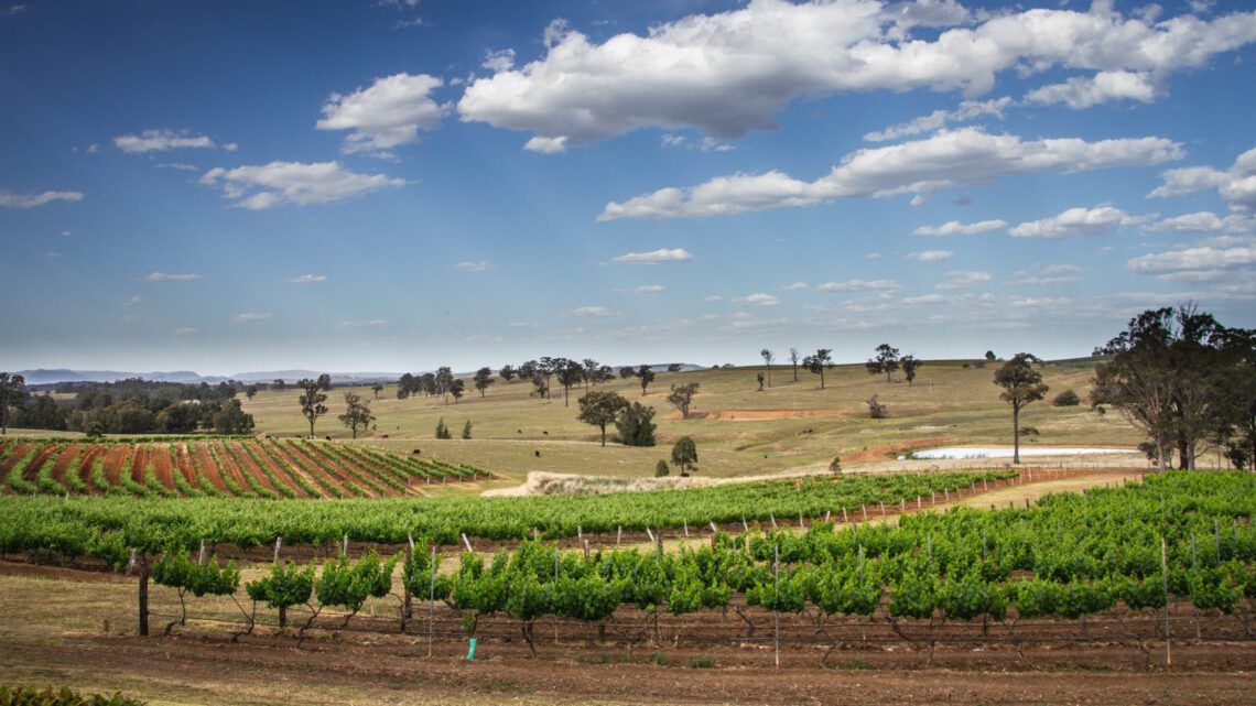 Regional market - Hunter valley
