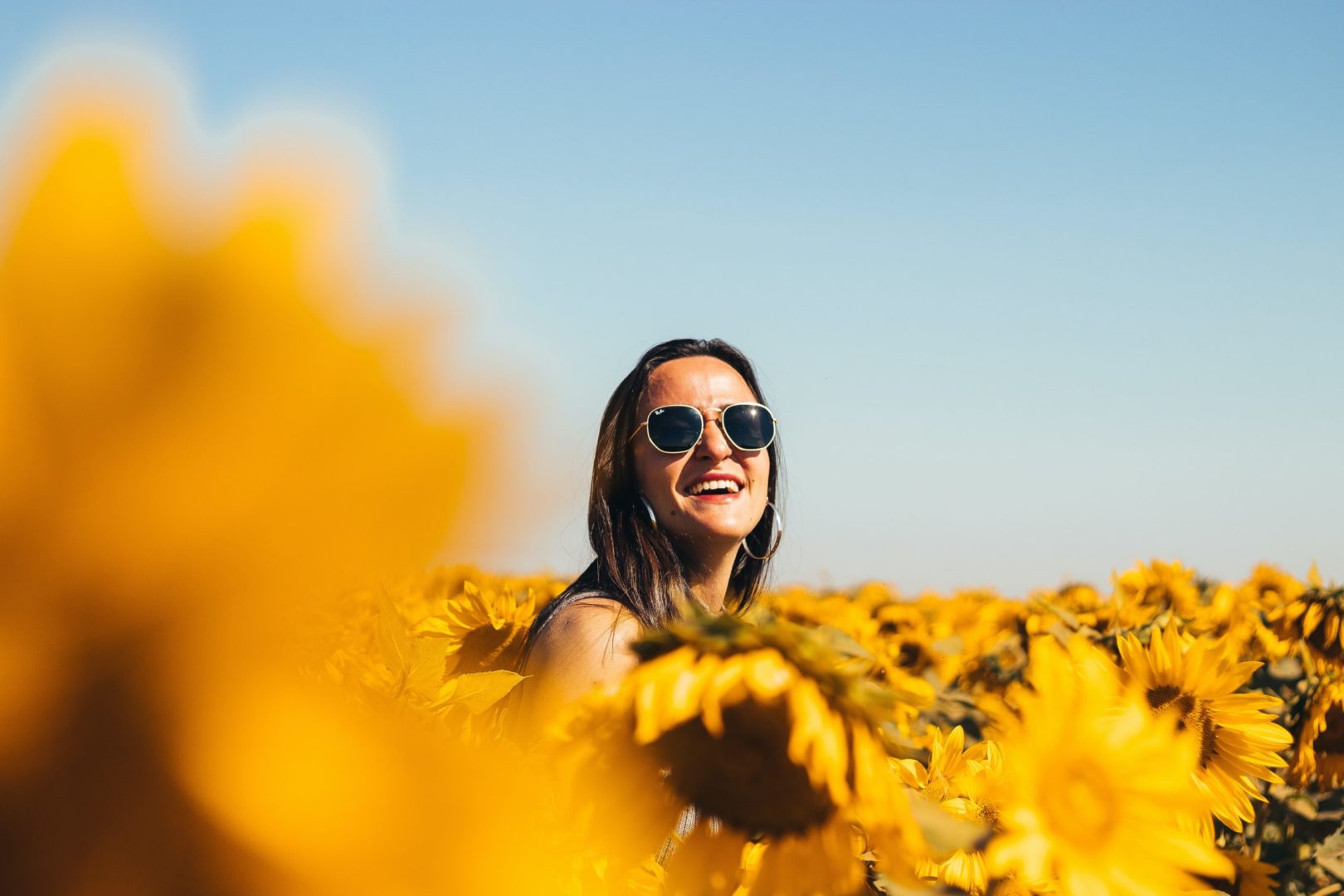 Person in a field of sunflowers wondering what candidates look for in a new employer